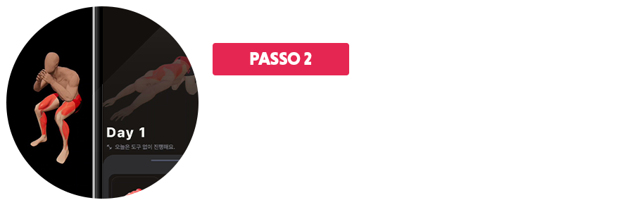 VBP_section20_2