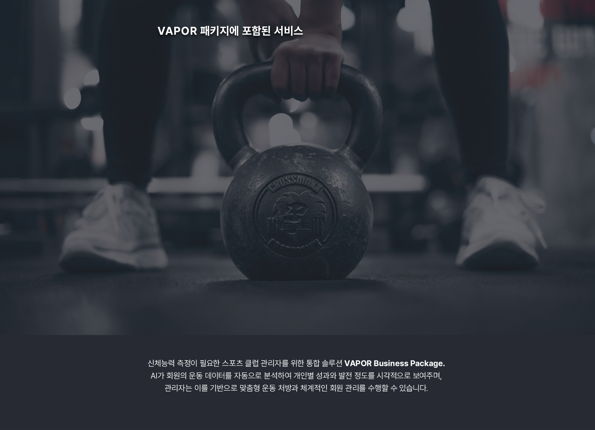 VBP_section13